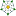 Microbadge: Yorkshire Rose