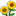 Microbadge: Sunflower lover