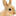 Microbadge: Rabbit owner